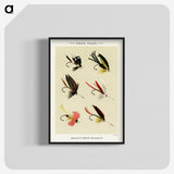 1-24_Favorite-Flies-and-Their-History_blk-crop