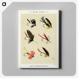 1-24_Favorite-Flies-and-Their-History_canvas