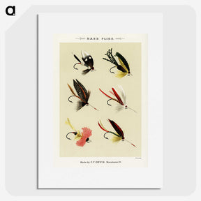 1-24_Favorite-Flies-and-Their-History_picture