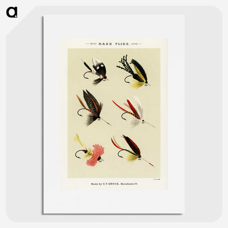 1-24_Favorite-Flies-and-Their-History_picture