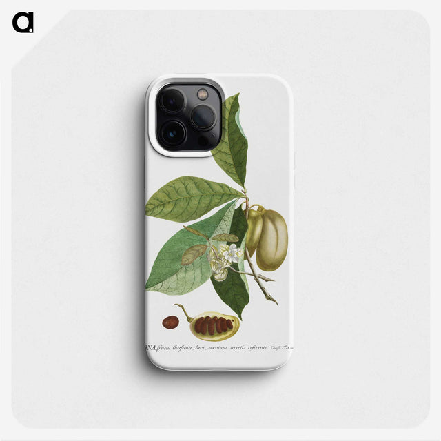 1-24_Georg-Dionysius-Ehret_phone