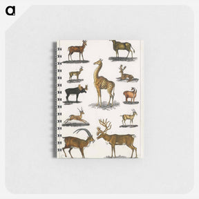 アートメモ帳-Antlered Animals
 - ゴールドスミスの生き生きとした自然 Memo.