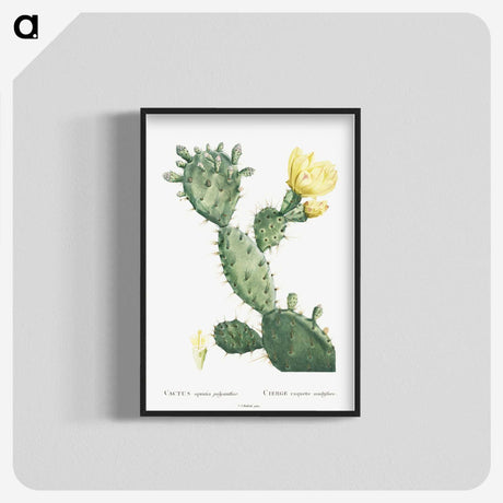 1-24_Histoire-des-Plantes-Grasses_blk-crop
