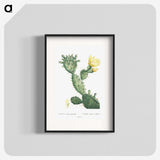 1-24_Histoire-des-Plantes-Grasses_blk