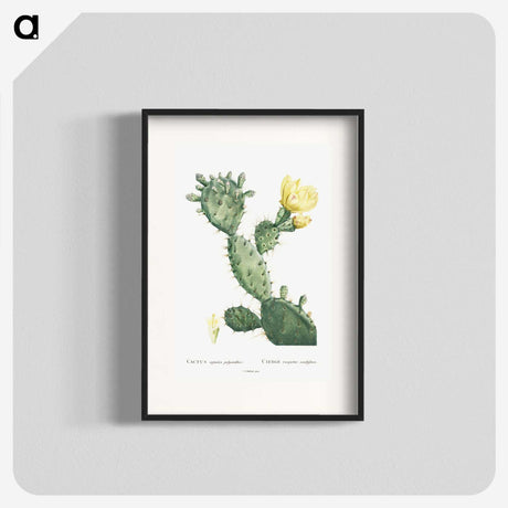 1-24_Histoire-des-Plantes-Grasses_blk