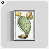 1-24_Hortus-Romanus-Botanical-Plates_blk-crop