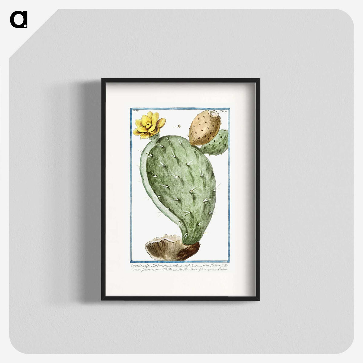 1-24_Hortus-Romanus-Botanical-Plates_blk