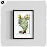 1-24_Hortus-Romanus-Botanical-Plates_blk