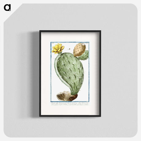 1-24_Hortus-Romanus-Botanical-Plates_blk