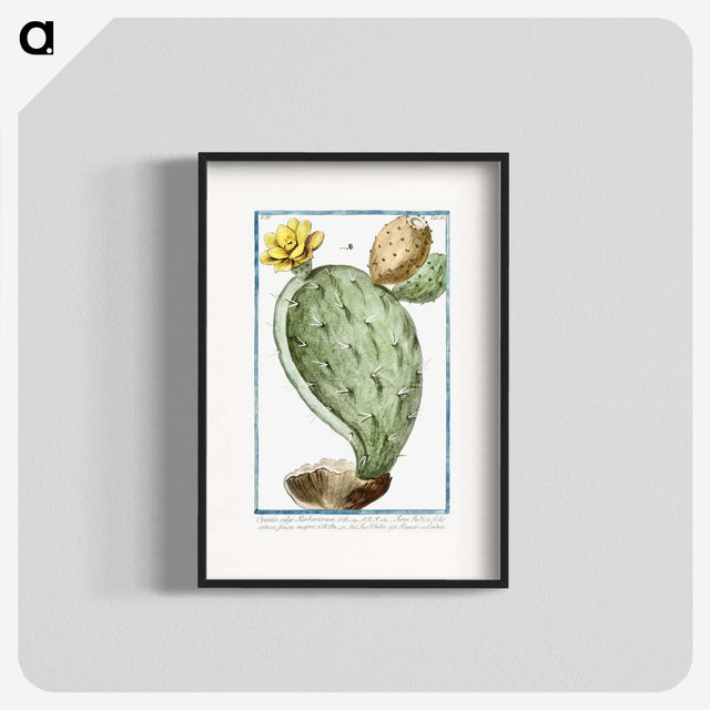 1-24_Hortus-Romanus-Botanical-Plates_blk