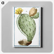 1-24_Hortus-Romanus-Botanical-Plates_canvas