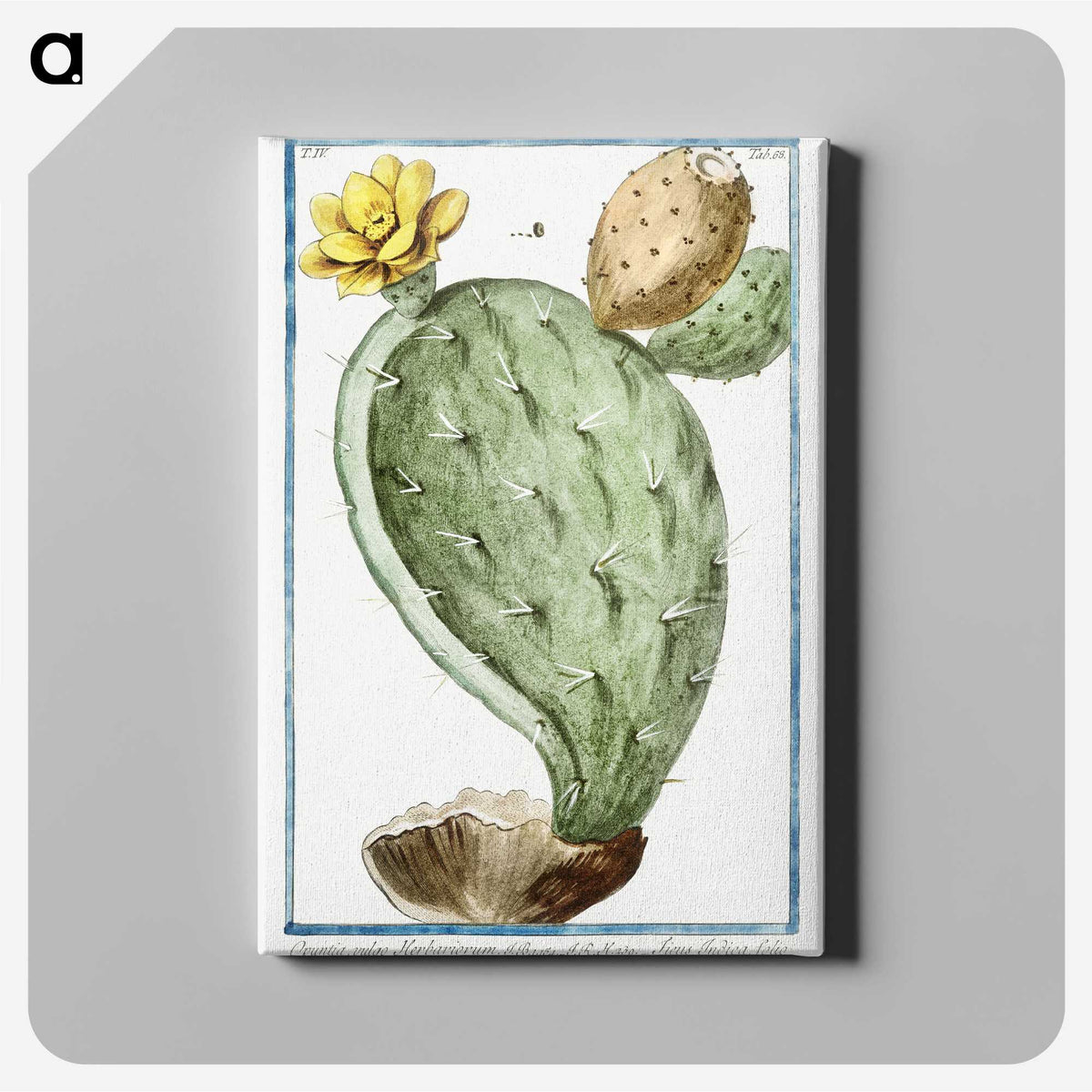 1-24_Hortus-Romanus-Botanical-Plates_canvas