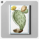 1-24_Hortus-Romanus-Botanical-Plates_canvas
