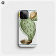 1-24_Hortus-Romanus-Botanical-Plates_phone