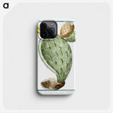 1-24_Hortus-Romanus-Botanical-Plates_phone