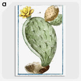 1-24_Hortus-Romanus-Botanical-Plates_picture-crop