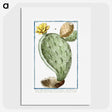 1-24_Hortus-Romanus-Botanical-Plates_picture