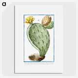 1-24_Hortus-Romanus-Botanical-Plates_picture