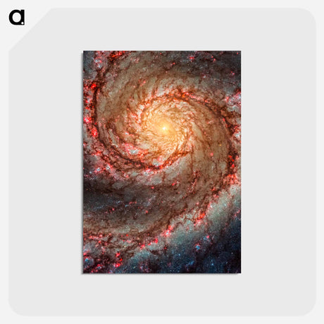 アートポストカード-Whirlpool Galaxy
 - ハッブル画像 Postcard.
