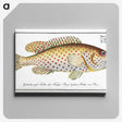 1-24_Ichtyologie-ou-Histoire-naturelle_canvas