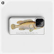 1-24_Ichtyologie-ou-Histoire-naturelle_phone