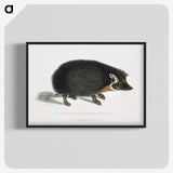 1-24_Indian-Zoology_blk-crop