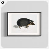 1-24_Indian-Zoology_blk