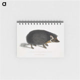 1-24_Indian-Zoology_memo