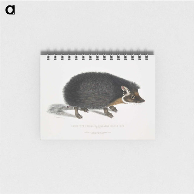 1-24_Indian-Zoology_memo