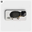 1-24_Indian-Zoology_phone