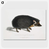 1-24_Indian-Zoology_picture-crop