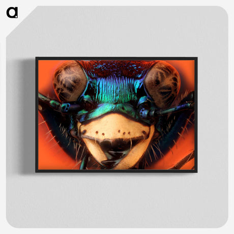 1-24_Insects-Unlocked-Project_blk-crop