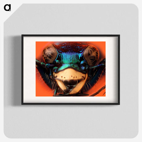1-24_Insects-Unlocked-Project_blk