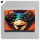 1-24_Insects-Unlocked-Project_canvas