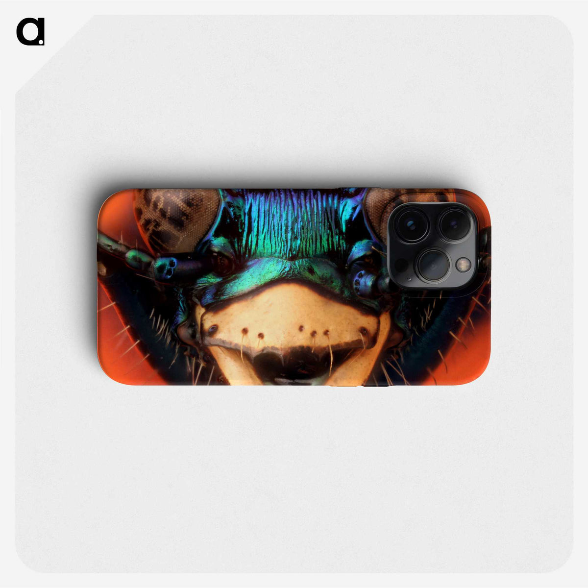 1-24_Insects-Unlocked-Project_phone