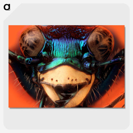 1-24_Insects-Unlocked-Project_picture-crop