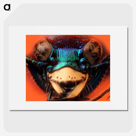 1-24_Insects-Unlocked-Project_picture