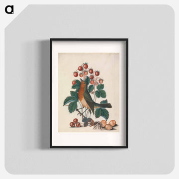 European Robin and Wild Strawberry
 - ジェームズ ボルトン Poster.