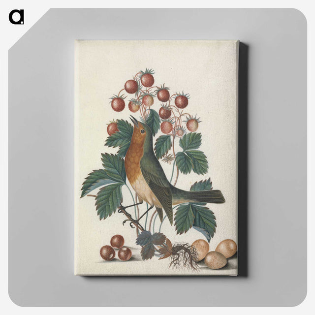 1-24_James-Bolton_canvas