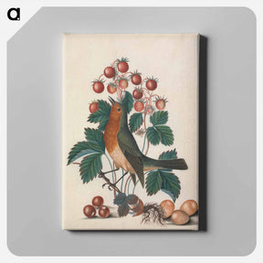 アートパネル-European Robin and Wild Strawberry
 - ジェームズ ボルトン Canvas.