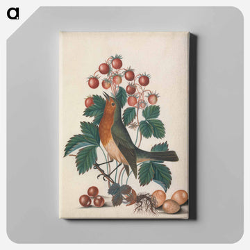 European Robin and Wild Strawberry
 - ジェームズ ボルトン Canvas.