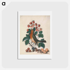 アートポストカード-European Robin and Wild Strawberry
 - ジェームズ ボルトン Postcard.