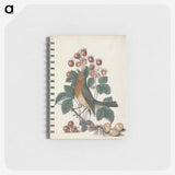 1-24_James-Bolton_memo