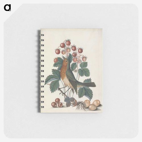 European Robin and Wild Strawberry
 - ジェームズ ボルトン Memo.