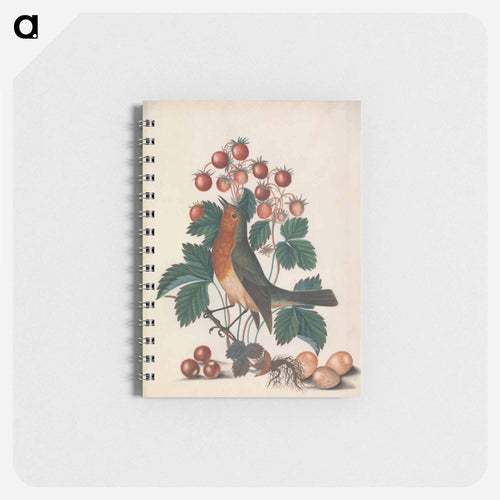 European Robin and Wild Strawberry
 - ジェームズ ボルトン Memo.