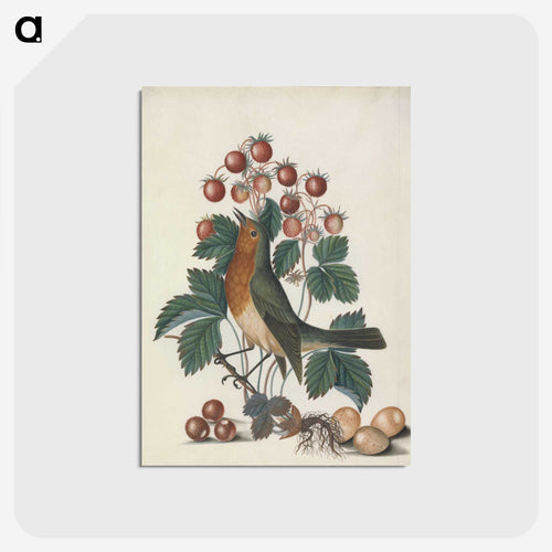 European Robin and Wild Strawberry
 - ジェームズ ボルトン Postcard.