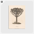 1-24_James-Heath_postcard