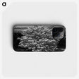 1-24_James-Walter-Chapman-Taylor_phone