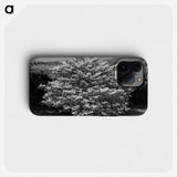 1-24_James-Walter-Chapman-Taylor_phone