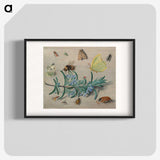 1-24_Jan-Van-Kessel_blk